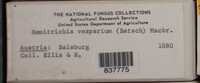 Image Associated With the Occurence